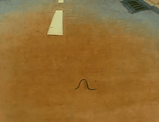 plantdestroysconcrete